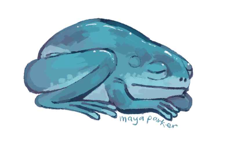 A digital illustration of a glistening blue-green frog that is sleeping.