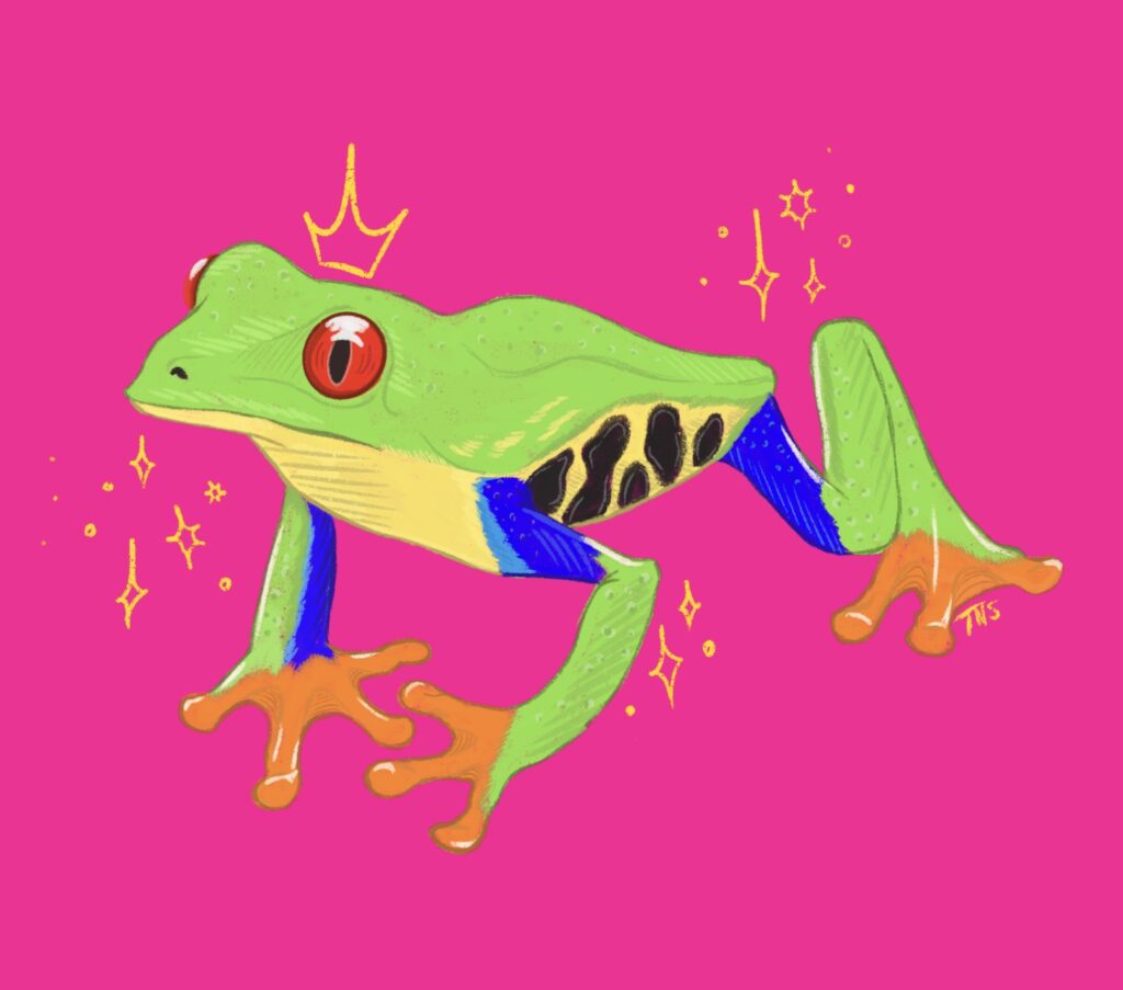 A digital illustration of a vibrant red-eyed tree frog on a bright pink background. Surrounding the frog are doodled yellow sparkles and floating above its head is a small yellow crown in the same doodled style.