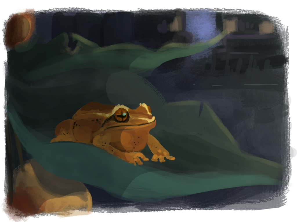 Digital illustration of a brown frog sitting on a leaf.